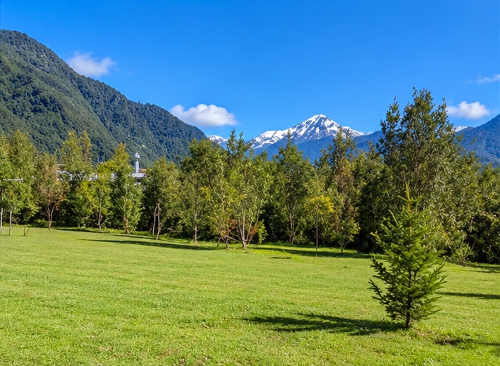 Pradera rodeada de árboles con volcán nevado al fondo